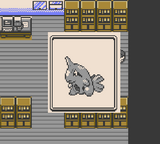 Pokemon Extreme Silver Image