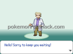 Pokemon Raven Image