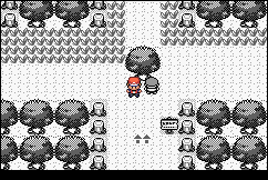 Pokemon Retro Red Image