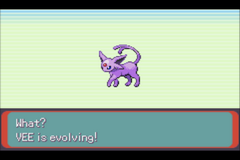 Pokemon Emerald: Level 100 Silliness Image