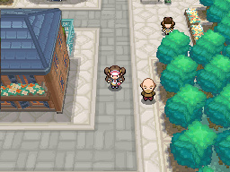 Pokemon Hoenn White 2 Image