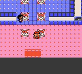 Pokemon Indigo Power Tournament Image