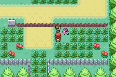 Pokemon Robust Red Image