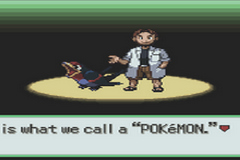 Pokemon Variant Emerald Image